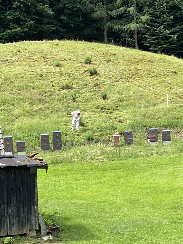 Pflege der Bienenstände am Hang